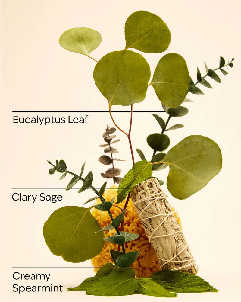 Wallflower refill Eucalyptus + Spearmint