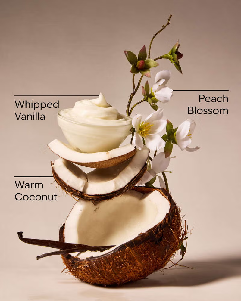 Wallflower refill Vanilla Coconut