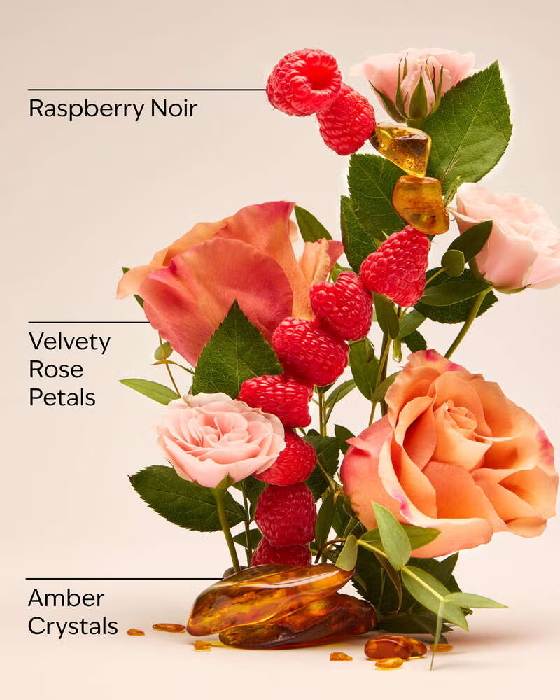 Spray concentrado Into the Night