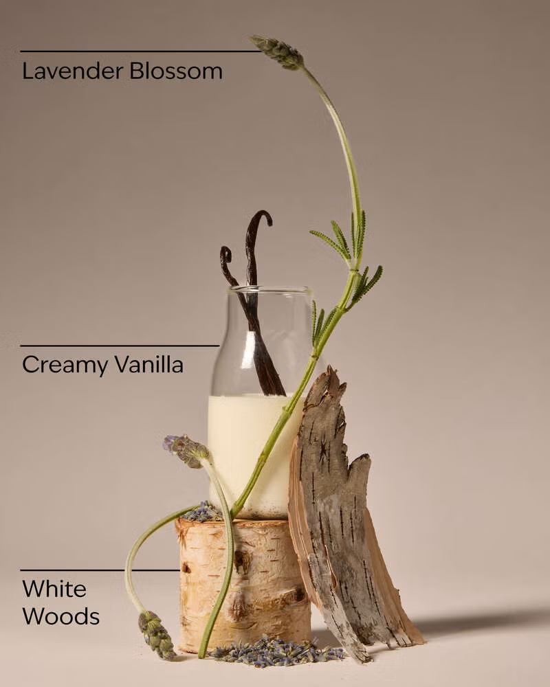 Wallflower refill Lavender Vanilla