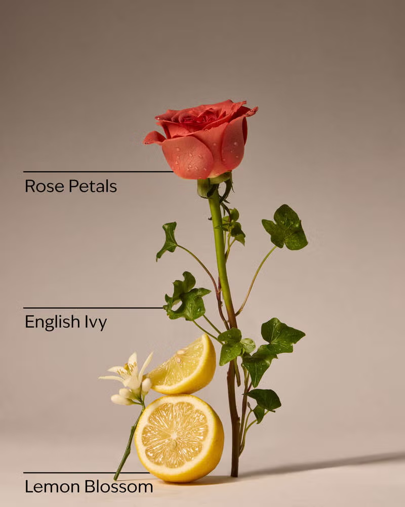 Wallflower refill Rose Water & Ivy