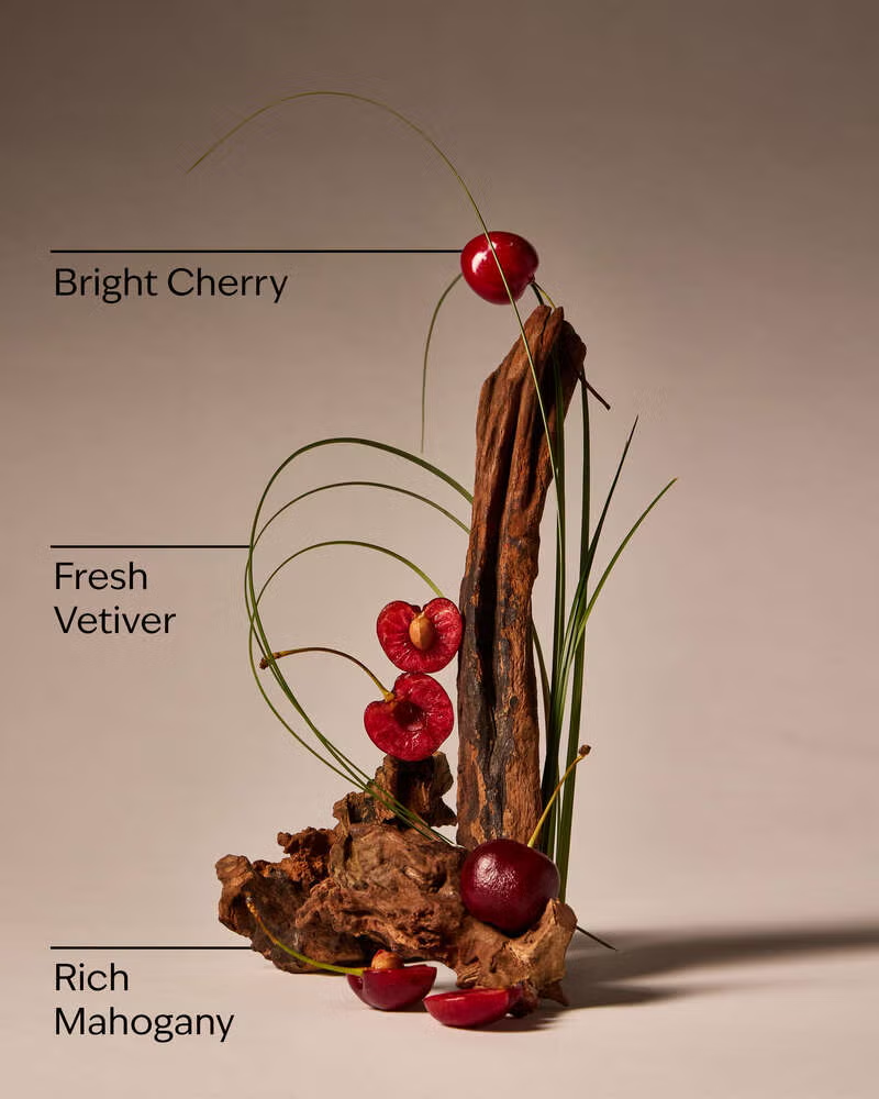 Wallflower refill Mahogany Cherry