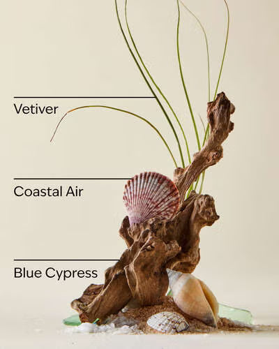 Jabón corporal Ocean