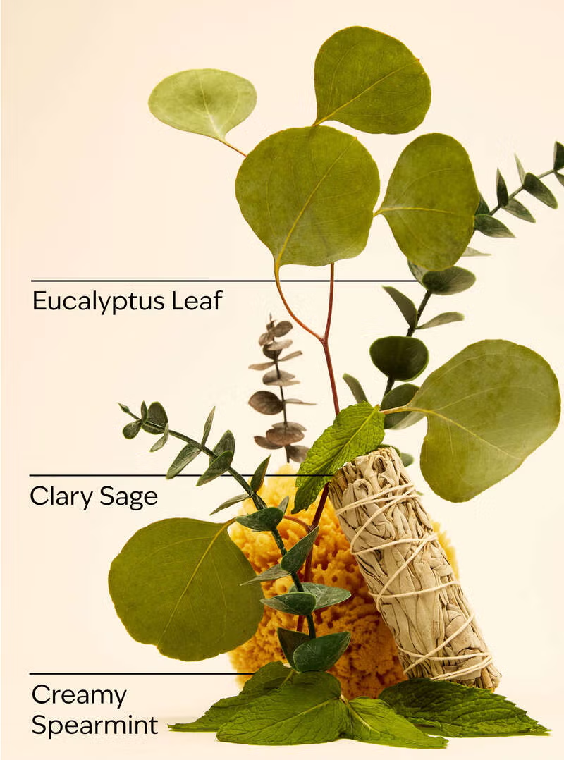 Refill Jabón de manos Eucalyptus Mint