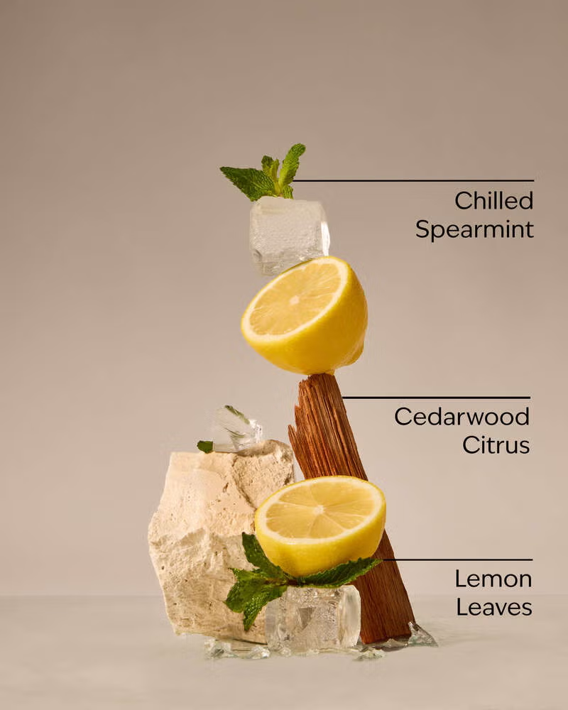 Wallflower refill Fresh Amalfi Lemon