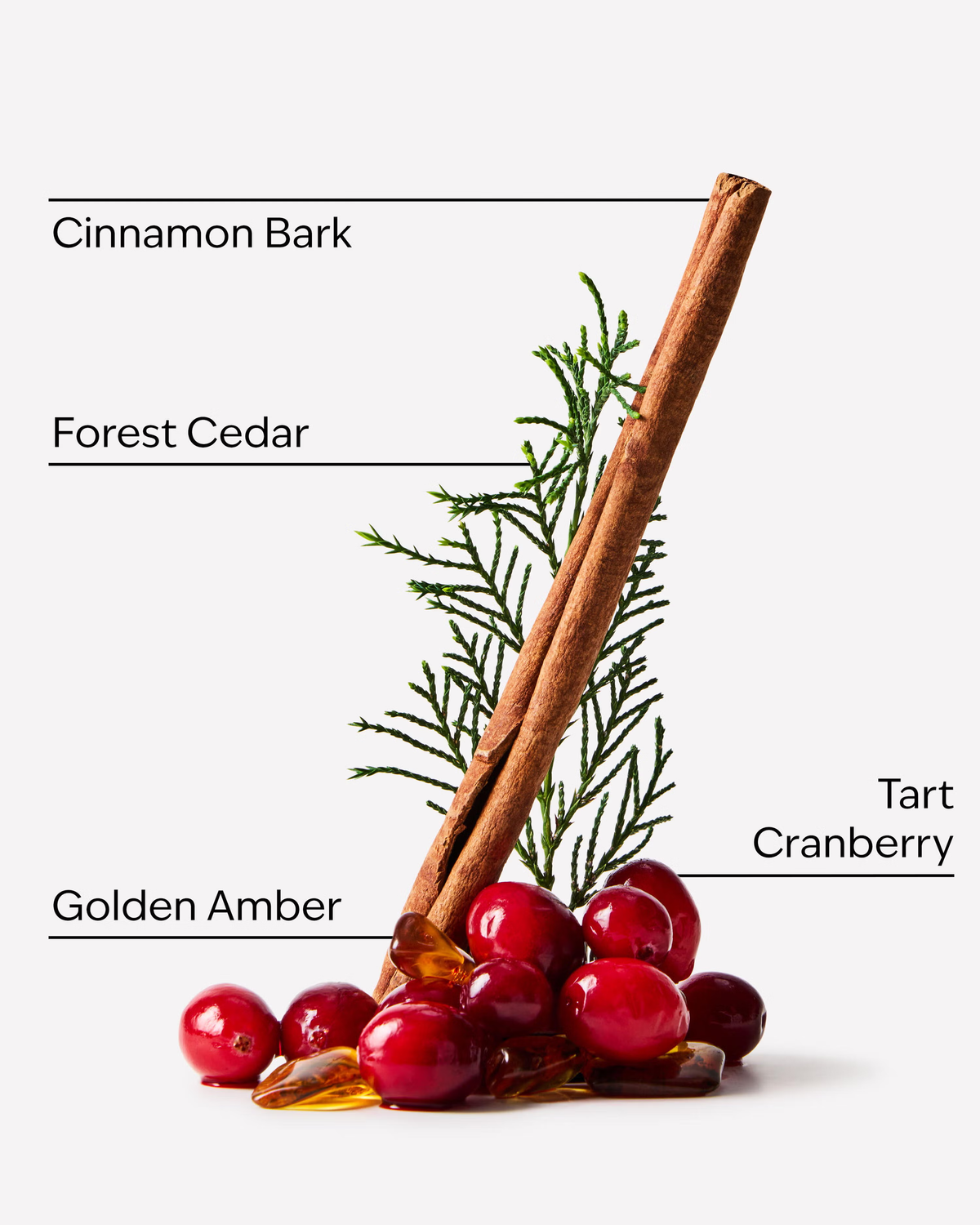 Wallflower refill Cranberry Woods